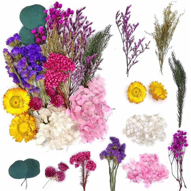 Csparkv - Bouquet de Fleurs Séchées Naturelles Vraies Fleurs Pressées Décoration pour Bricolage Résine Epoxy Bijoux Floraux Nail Art diy Bougie