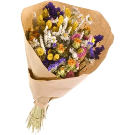Bouquet de Fleurs séchées Prestige Mix couleurs 50 cm