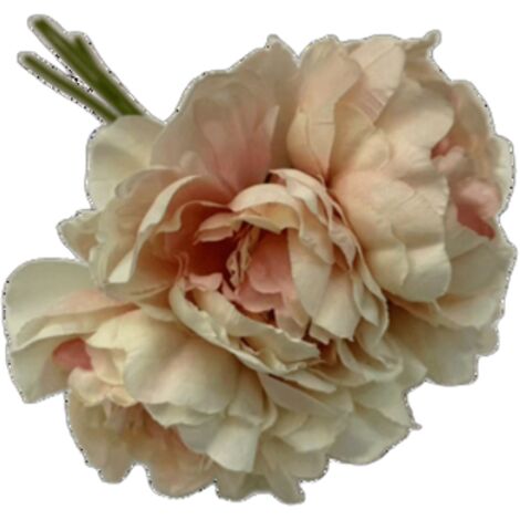 Bouquet de pivoines
