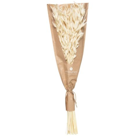 Bouquet de Tiges et Plantes séchées H 45 cm - Atmosphera
