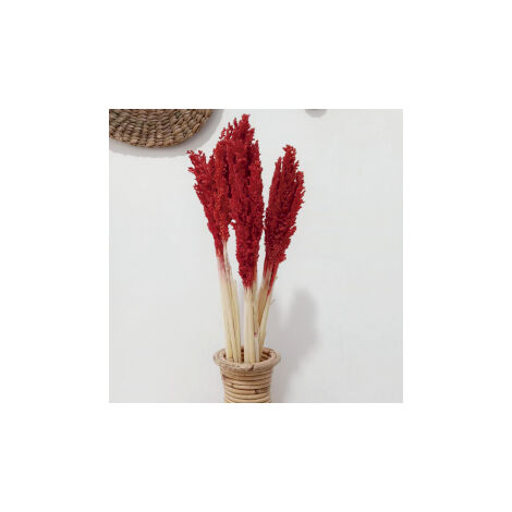 Bouquet d'herbes du Cantal - Feu- Vendu par 6
