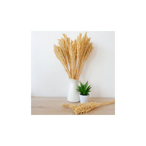 Bouquet d'herbes du Cantal - Naturel- Vendu par 6