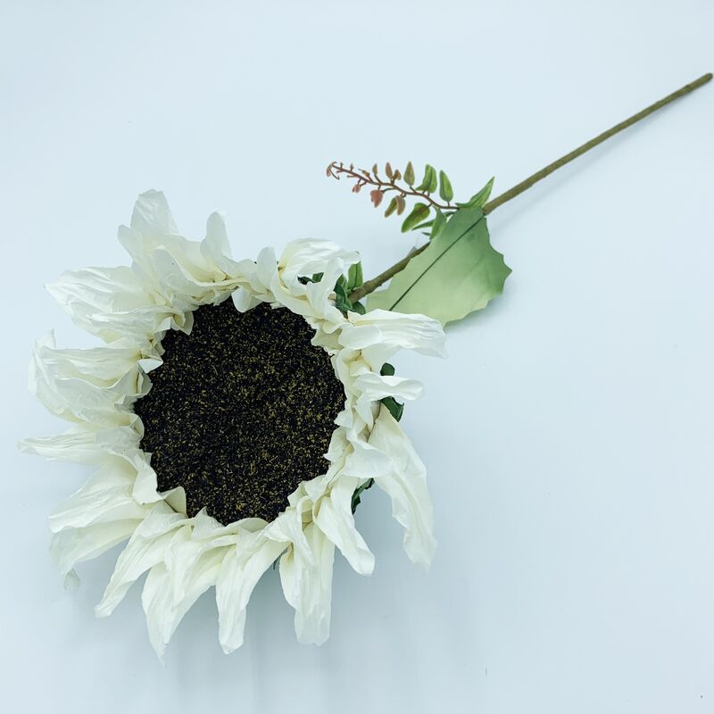 Bouquet di girasole in bianco 56 x 20 cm