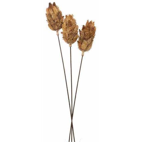 Bouquet of Dried Protea Artificial Plant - L12 x W12 x H60 cm