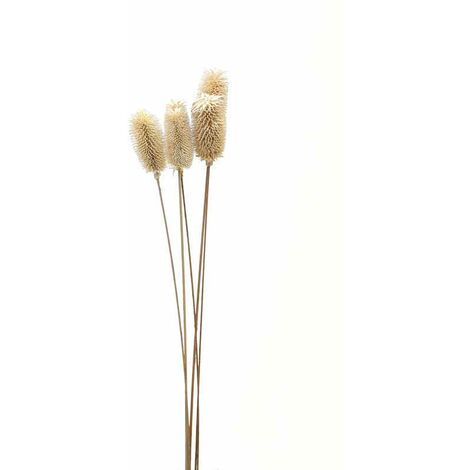 Bouquet of Dried Tall Thistle Artificial Plant - L12 x W12 x H60 cm - White