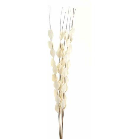 Bouquet of Dried Thlaspi Arvense Artificial Plant - L16 x W16 x H120 cm - White