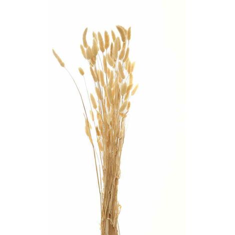 Bouquet of Tall Bunny Tails Artificial Plant - L18 x W18 x H76 cm - White