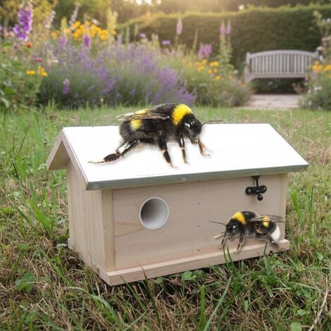 Bourdon Abeille Bourdon Maison Bourdon Abeille Boîte à nid Insecte Maison Insecte Maison Hôtel XXL