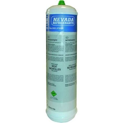 VEVOR Conteneur d'Azote Liquide 3 L, Récipient Cryogénique d'Azote
