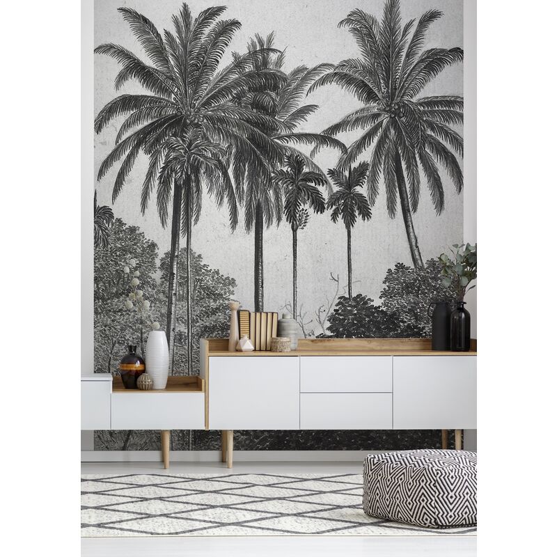 Papier Peint panoramique Palmiers Gravure 280 x 200cm Gris, Noir