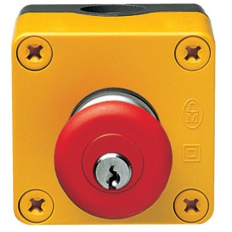 Bouton ATU coup de poing à clé - DISJONCTEURS MULTI. HAGER MZ531N