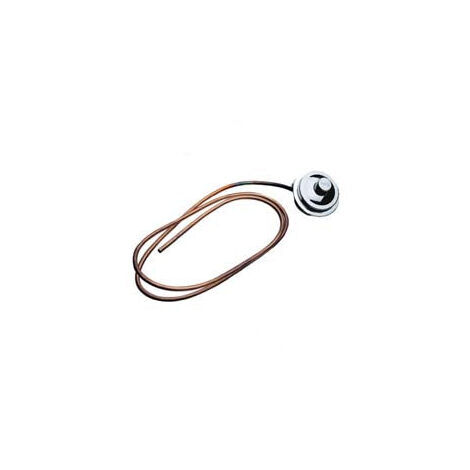 Bouton Catis