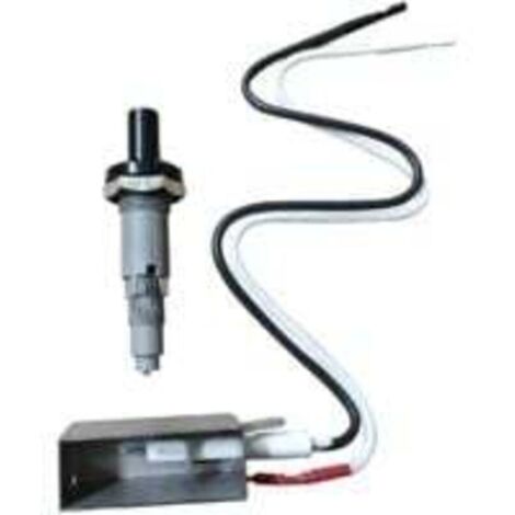 Bouton d'allumage à pile pour barbecue gaz Weber Spirit Genesis – Kit de remplacement compatible Ortviai