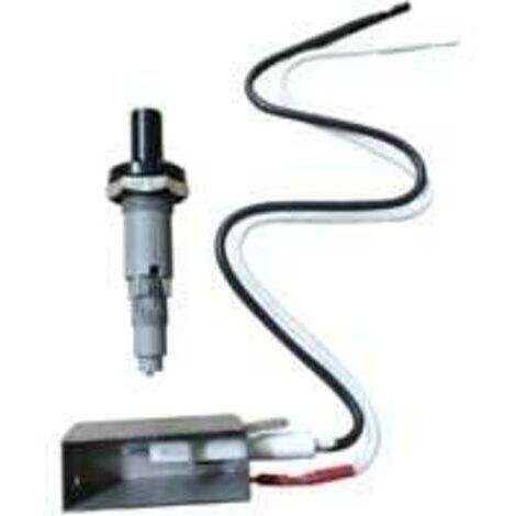 Bouton d'allumage de rechange Weber7509, kit d'allumage à pile bouton, compatible avec les barbecues à gaz Weber Spirit Genesis