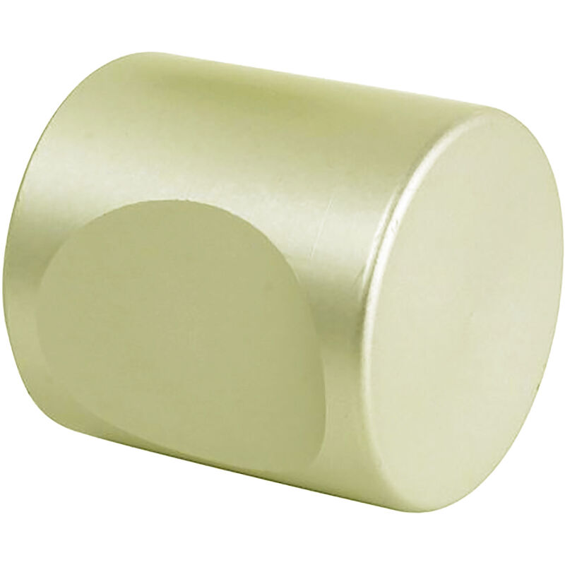 Bouton actuel D20mm aluminium champagne Vachette 008172