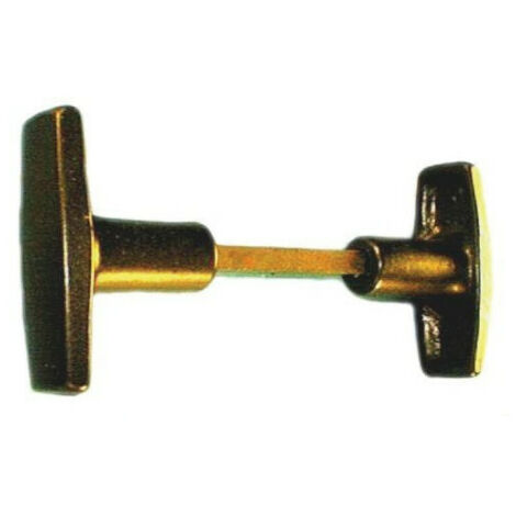 Bouton double N°8728/01 - TORBEL Peinte