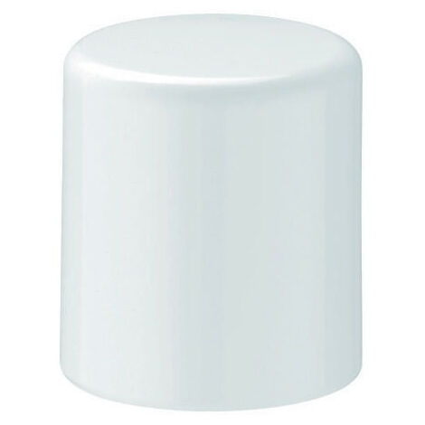 Bouton interrupteur GROHE 64309 moon white