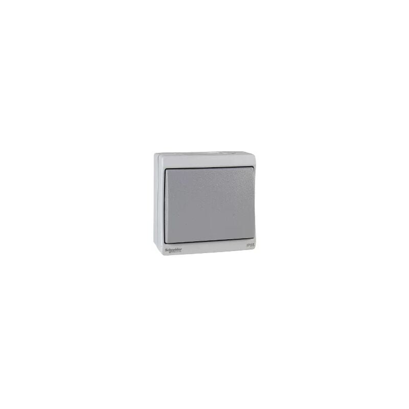 Schneider ENN35026 - Mureva - bouton-poussoir - gris - en saillie - IK07 IP55