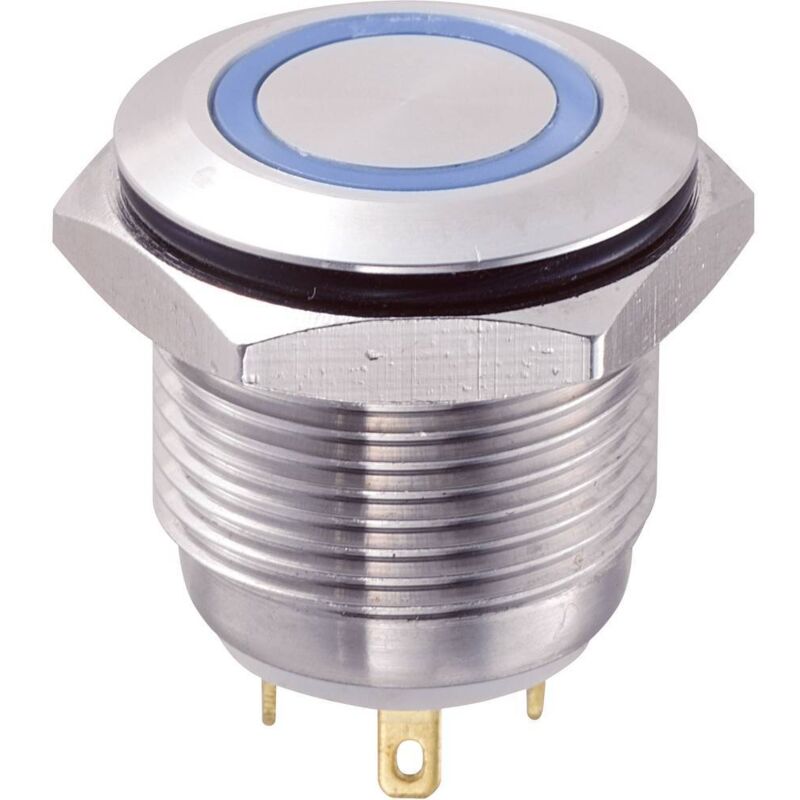 Tru Components - bouton-poussoir antivandalisme GQ16F-10E/J/B/12V 701855 48 v/dc 2 a 1 x off/(on) IP65 à rappel 1 pc(s)