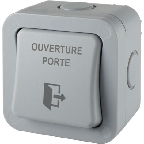 Bouton poussoir Izyx contact inverseur IP66 surface