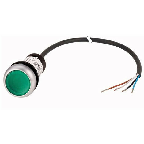 Bouton-poussoir lumineux RMQ Compact vert plat à accrochage 1o/0f extrémité ouverte câble noi EATON C22-DRL-G-K10-24-P62