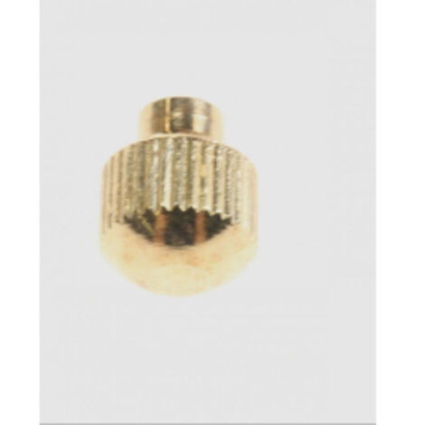 Bouton programmateur dore pour Four SMEG 905930178
