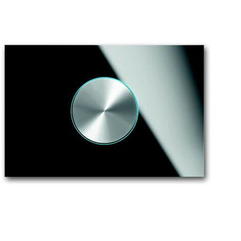 Bouton Rotatif Busch-Prion Verre Noir 2CKA006310A0116 ABB 586749