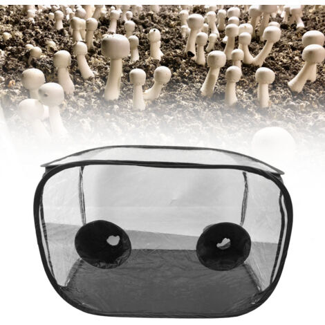 Box de culture mycologique portable PVC avec aérations - Ensemble de kit de tente de mushroom prêt à utiliser - Doublure d'air encore pour l'auto-utilisation facile