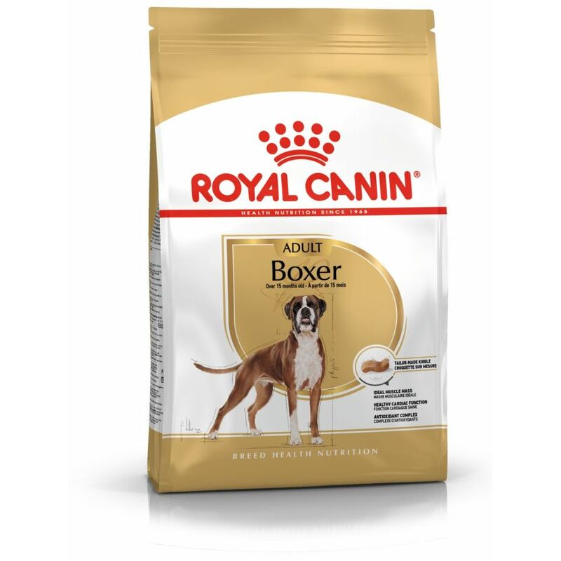 Crocchette Cane Boxer Adult 12 kg - Royal Canin