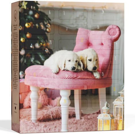BOXILAND® Calendario dell'Avvento per Cani 2025 [CON 24 SNACK PER CANI] – Calendario di Natale Regalo per Cani – Idea Regalo per Cani (Prodotto in Germania)