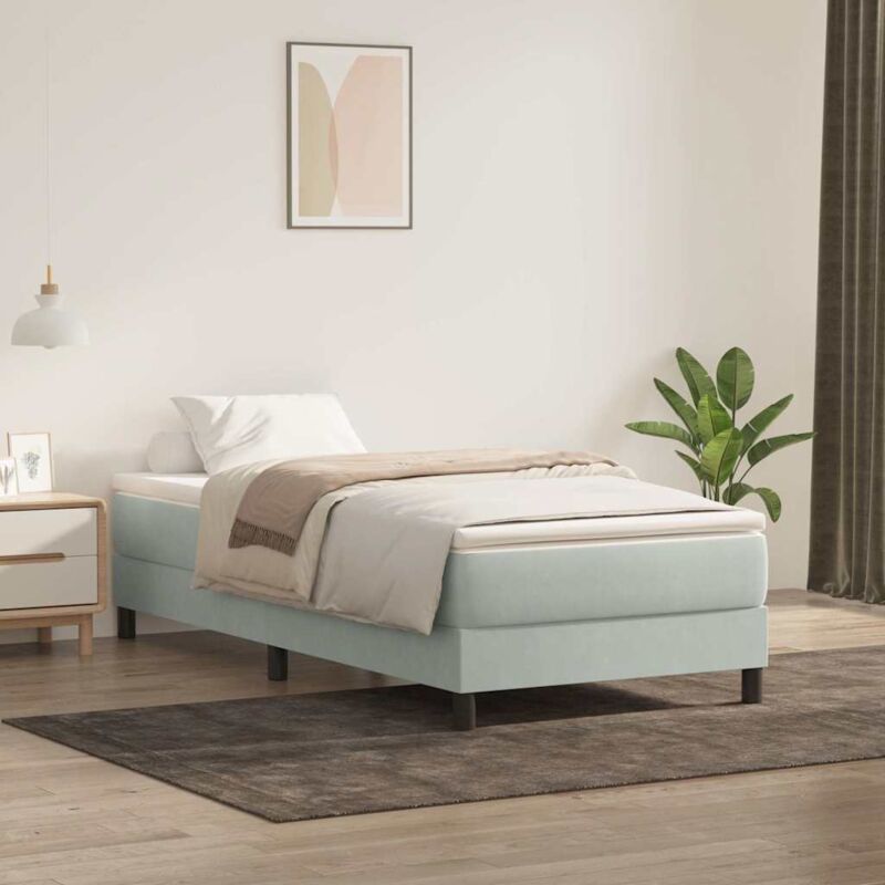 Vidaxl Boxspringbett Ohne Matratze Hellgrau 80x220 Cm Samt