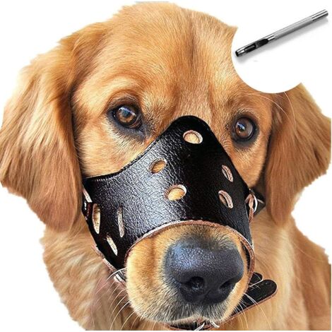 Bozal de cuero para perros, antiladridos, apto para perros grandes, pequeños y medianos (negro, talla M).