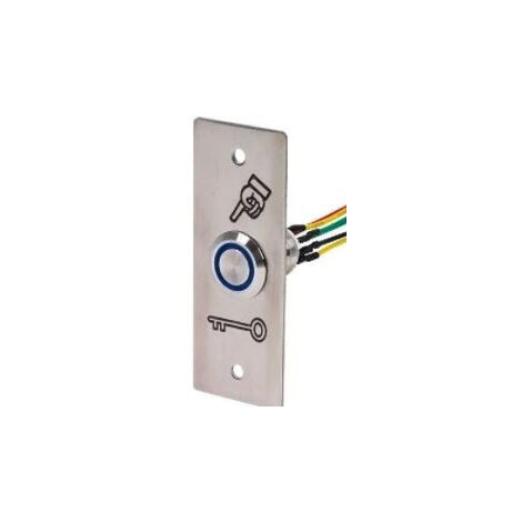 BPNONF inox PB19 + plaque + led bleu 12V CAME 001FR2197