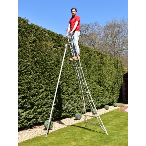 BPS 1 Leg Trade Master Tripod Ladder, Size 3.6m