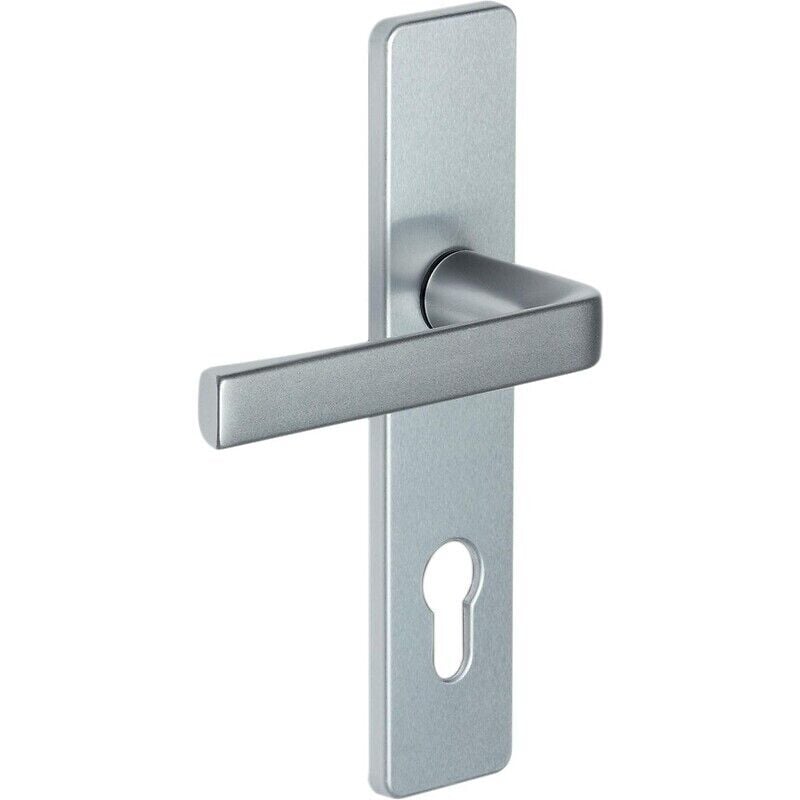 Béquille double sur plaque kaza entraxe 165 mm basalt noir mat condamnation Vachette