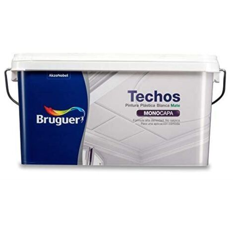BR WP Dachfarbe 2,5 l 5159753 BRUGUER