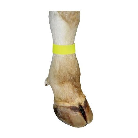 Bracciale Kerbl con chiusura in velcro per manzo, 33 x 4 cm, giallo, 10 braccialetti