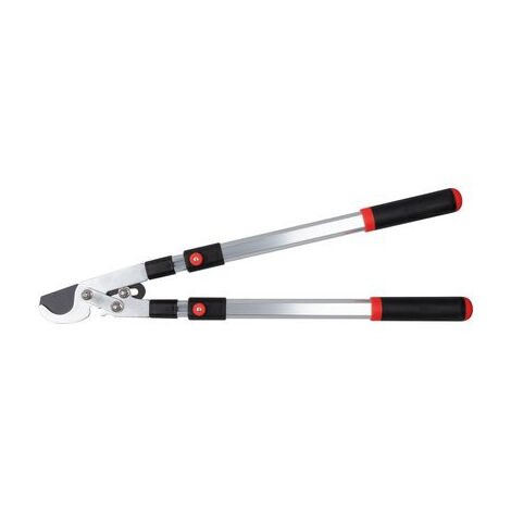 BRANCHE ALU TELESC DEMUL FRANC CAP VERT RG 3128