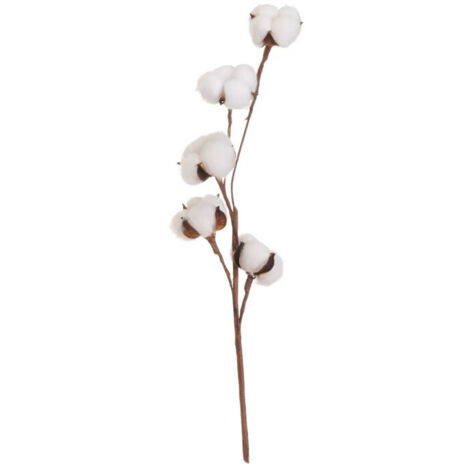 Branche de coton naturelle décorative 10x10x55cm