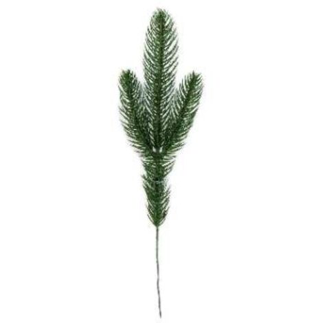 Branche de Noël - branche de conifère à bricoler 25 cm