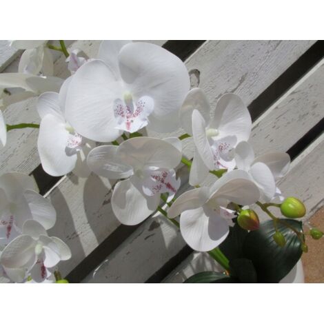 branche décorative d'orchidée artificielle de 75 cm