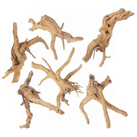 Branches d'aquarium naturel pour reptiles, décor d'habitat 6 pièces, bois flotté assorti