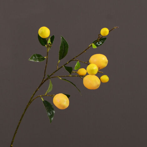 Branches de Citron Artificielles, Plantes Vertes de Simulation Vives pour Centres de Table de Cuisine, Décorations de Fête (200303QY15-1)