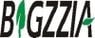 brand image of "BIGZZIA"