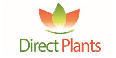 DIRECT PLANTS