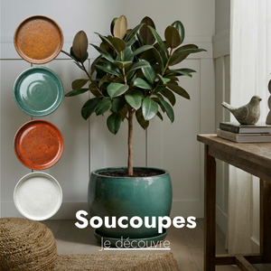 brand_category_8