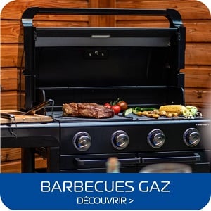 CAMPINGAZ Barbecue gaz Class 3 WLD sur