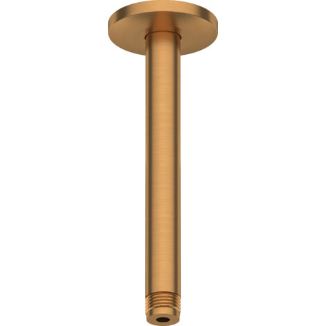 Bras de douche Duravit, raccord au plafond, rosace ronde, 200mm,