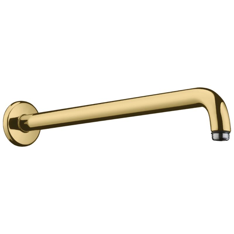 Bras de douche Hansgrohe m 38,9 cm Aspect doré poli