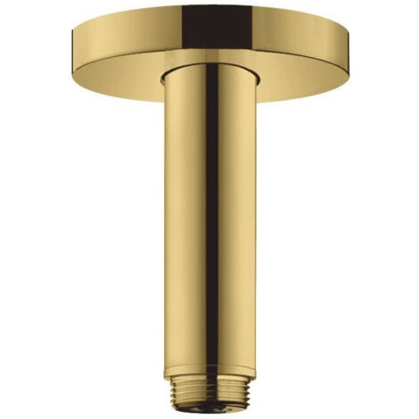 Bras de douche S 100 mm plafond M 1/2aspect doré poli